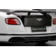 TOPSPEED TS0166 BENTLEY Continental Supersports 2017 Onyx over Ice (999 ex)