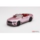 TRUESCALE TSM430508 BENTLEY Continental GT Convertible Passion Pink