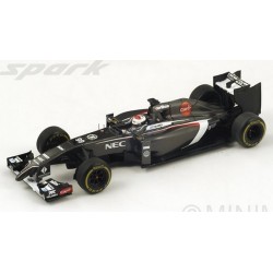 SPARK S3076 SAUBER C33 N°99 Adrian Sutil 2014