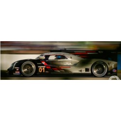 SPARK US342 CADILLAC DPi-V.R N°01 Cadillac Racing -Pole Position 12H Sebring 2022 - (1/43)