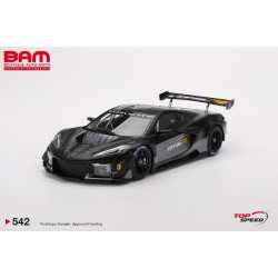 TOP SPEED TS0542 CHEVROLET Corvette Z06 GT3.R Road America Test Car 2023 (1/18)