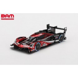 TRUESCALE TSM430796 ACURA ARX-06 GTP N°40 Wayne Taylor Racing 3ème 24H Daytona 2024 (1/43)
