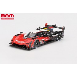 TRUESCALE TSM430797 CADILLAC V-Series.R N°31 Whelen Cadillac Racing - 2ème 24H Daytona 2024 (1/43)