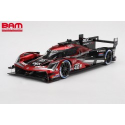 TOP SPEED TS0565 ACURA ARX-06 GTP N°40 Wayne Taylor Racing 3ème 24H Daytona 2024 (1/18)
