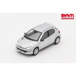 DCT MINIATURES LL-019-121 PEUGEOT 206 Silver LHD 1/64