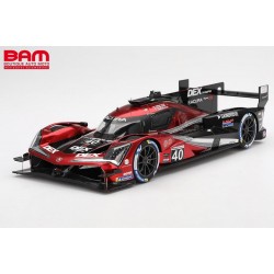 TOP SPEED TS0592 ACURA ARX-06 GTP N°40 Wayne Taylor Racing Vainqueur 12H Sebring 2024 J. Taylor - L. Deletraz - C. Herta 1/18