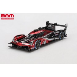 TRUESCALE TSM430820 ACURA ARX-06 GTP N°40 Wayne Taylor Racing Vainqueur 12H Sebring 2024 J. Taylor - L. Deletraz - C. Herta 1/43