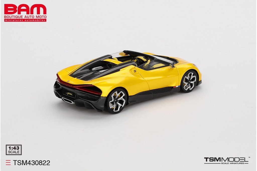 TRUESCALE MINIATURES 1/43 – Bugatti W16 – 2023 – TSM430822 – Résine