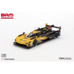 TOP SPEED TSM430826 CADILLAC V-SERIES.R N°01 Cadillac Racing 12H Sebring 2024 (1/43)
