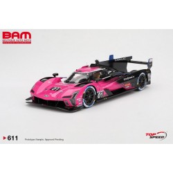 TOP SPEED TS0611 CADILLAC V-SERIES.R N°01 Cadillac Racing Vainqueur Petit Le Mans 2024 1/18