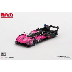 TRUESCALE TSM430837 CADILLAC V-SERIES.R N°01 Cadillac Racing Vainqueur Petit Le Mans 2024 1/43