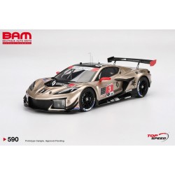 TOP SPEED TS0590 CHEVROLET Corvette Z06 GT3.R N°3 Corvette Racing by Pratt Miller Motorsports 12H Sebring 2024 (1/18)