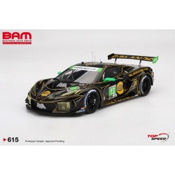 TOP SPEED TS0615 CHEVROLET Corvette Z06 GT3.R N°13 AWA 24H Daytona 2025 O. Fidani - M. Bell - L. Kern (1/18)