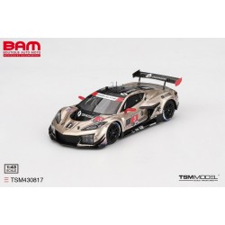 TRUESCALE TSM430817 CHEVROLET Corvette Z06 GT3.R N°3 Corvette Racing by Pratt Miller Motorsports 12H Sebring 2024 (1/43)
