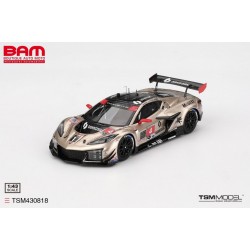 TRUESCALE TSM430818 CHEVROLET Corvette Z06 GT3.R N°4 Corvette Racing by Pratt Miller Motorsports 12H Sebring 2024 (1/43)