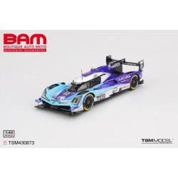 TRUESCALE TSM430873 ACURA ARX-06 N°60 ACURA Meyer Shank Racing 2025 IMSA 12H Sebring 2025 1/43