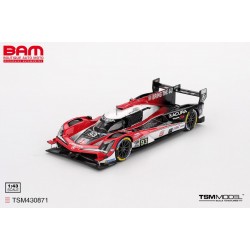 TRUESCALE TSM430871 ACURA ARX-06 N°93 Acura Meyer Shank Racing 12H Sebring 2025 R. van der Zande - N. Yelloly - A. Palou 1/43