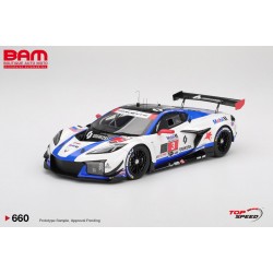 TOP SPEED TS0660 CHEVROLET Corvette GT3 R N°3 Corvette Racing by Pratt Miller Motorsports 12H Sebring 2025 1/18