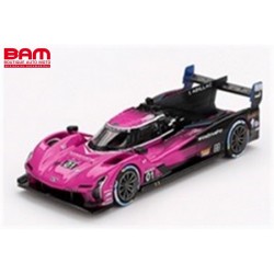 MINI GT MGT01010-L CADILLAC V-SERIES.R N°01 Cadillac Racing Vainqueur Petit Le Mans 2024 (1/64)