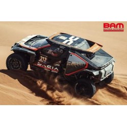 SPARK S6042 DACIA Sandrider N°219 The Dacia Sandriders Rallye Dakar 2025 S. Loeb – F. Lurquin 1/43
