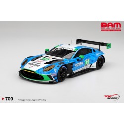 TOP SPEED TS0709 ASTON MARTIN Vantage GT3 EVO N°19 Van Der Steur Racing 24H Daytona 2025 1/18