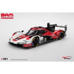 TOP SPEED TS0691 PORSCHE 963 N°7 Porsche Penske Motorsport Vainqueur 24H Daytona 2025 1/18