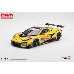 TOP SPEED TS0717 CHEVROLET Corvette Z06 GT3.R N°3 Corvette Racing By Pratt Miller Motorsports 24H Daytona 2026 1/18