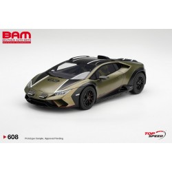 TOP SPEED TS0608 LAMBORGHINI Huracan Sterrato Verde Gea Matt 2024 (1/18)
