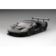 TOPSPEED TS0032 FORD GT LMGTE Test Car ( 300 exemplaires)